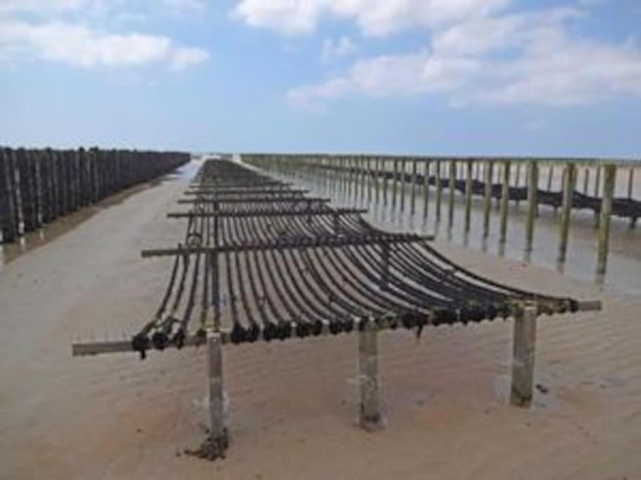 Maison Bord De Mer Individuel Gouville-sur-Mer Eksteriør billede