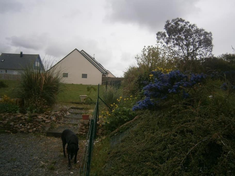 Maison Bord De Mer Individuel Gouville-sur-Mer Eksteriør billede