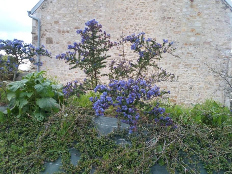 Maison Bord De Mer Individuel Gouville-sur-Mer Eksteriør billede